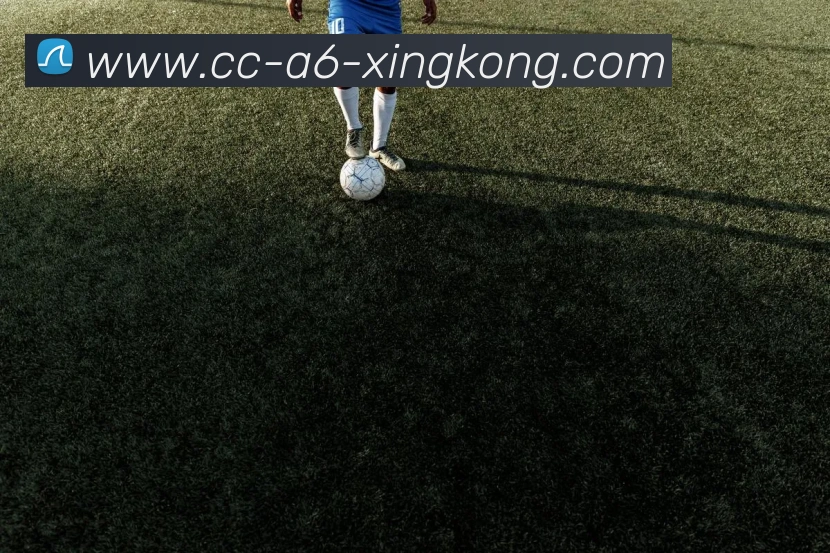 奖项2