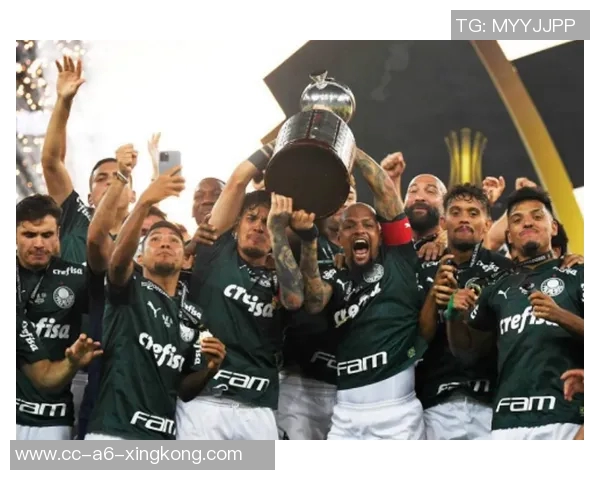 基多体育大学在解放者杯半决赛首回合以三球优势战胜帕尔梅拉斯 基多体育大学在解放者杯半决赛首回合以三球优势战胜帕尔梅拉斯